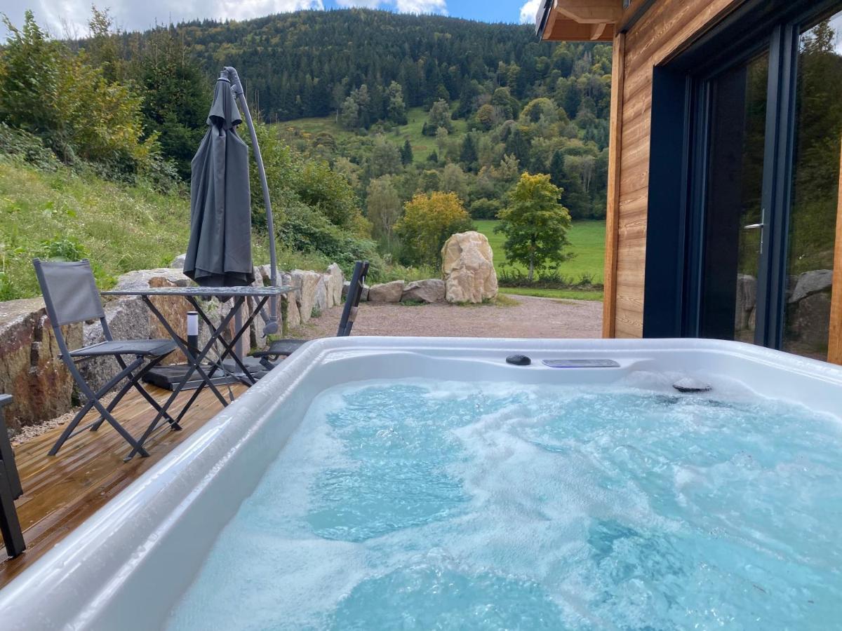 Les Perce Neige & Jacuzzi Privatif, Proximite Gerardmer & La Bresse Chalet *