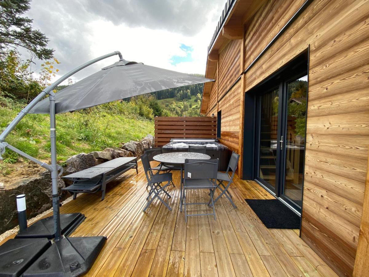 Les Perce Neige & Jacuzzi Privatif, Proximite Gerardmer & La Bresse *