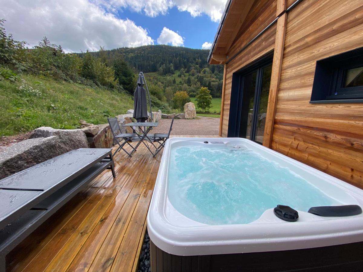 Les Perce Neige & Jacuzzi Privatif, Proximite Gerardmer & La Bresse *