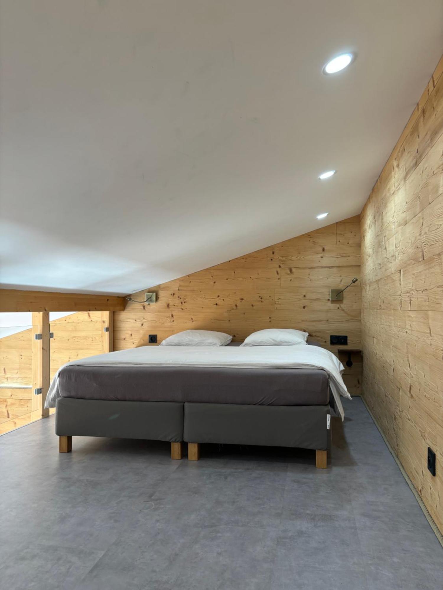 Les Perce Neige & Jacuzzi Privatif, Proximite Gerardmer & La Bresse *